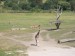 100_3677.JPG