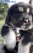 IMG-20220214-WA0000