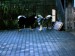 100_2615.JPG